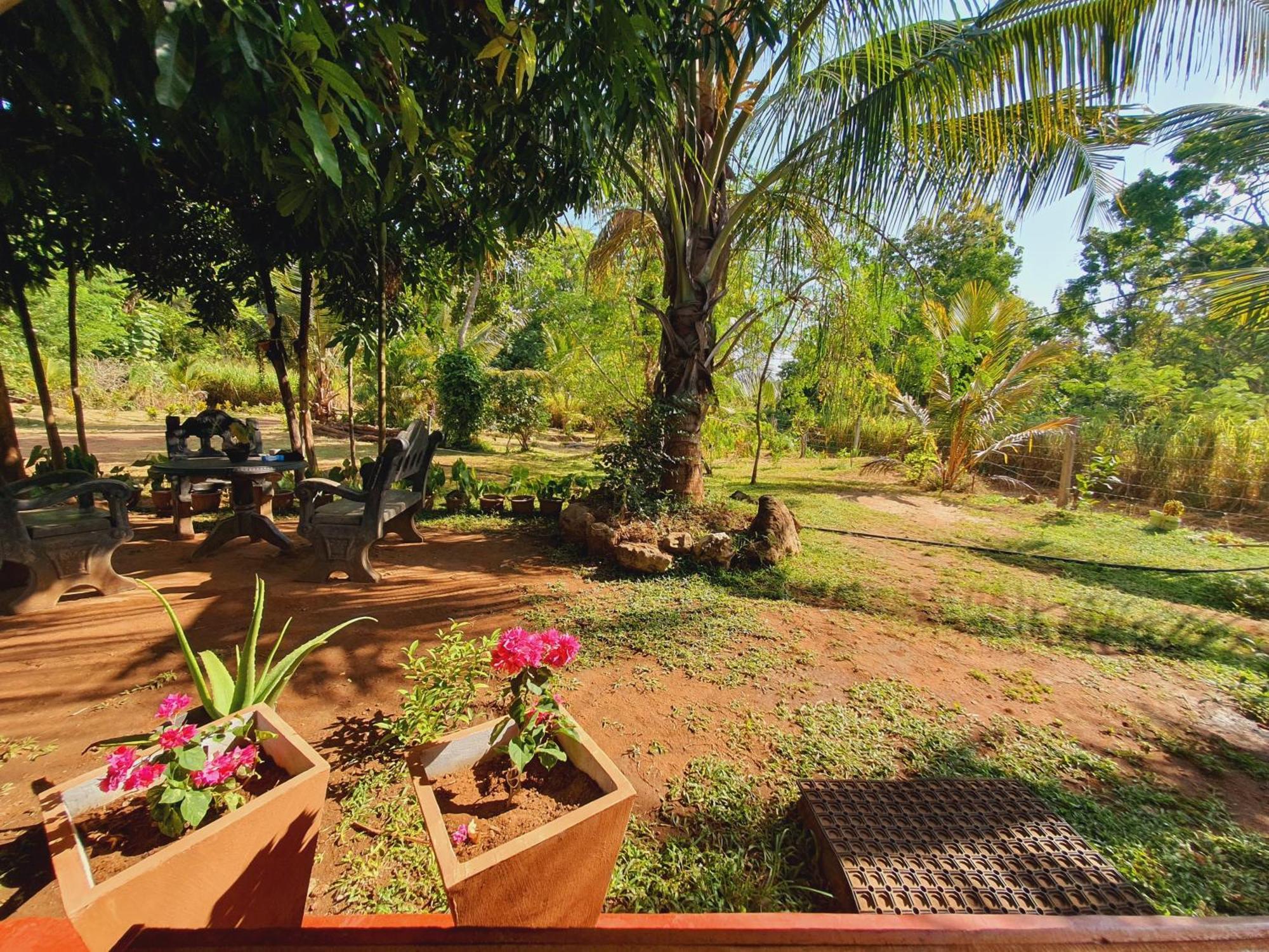 Jungle Eco Lodge & Safari Sigiriya Bagian luar foto