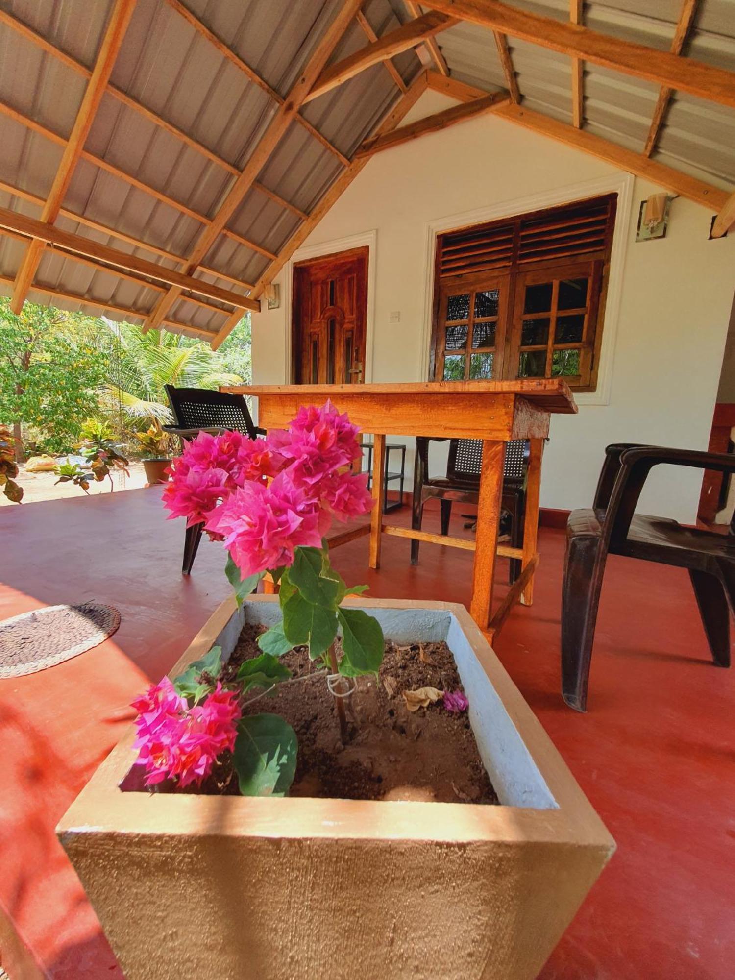 Jungle Eco Lodge & Safari Sigiriya Bagian luar foto