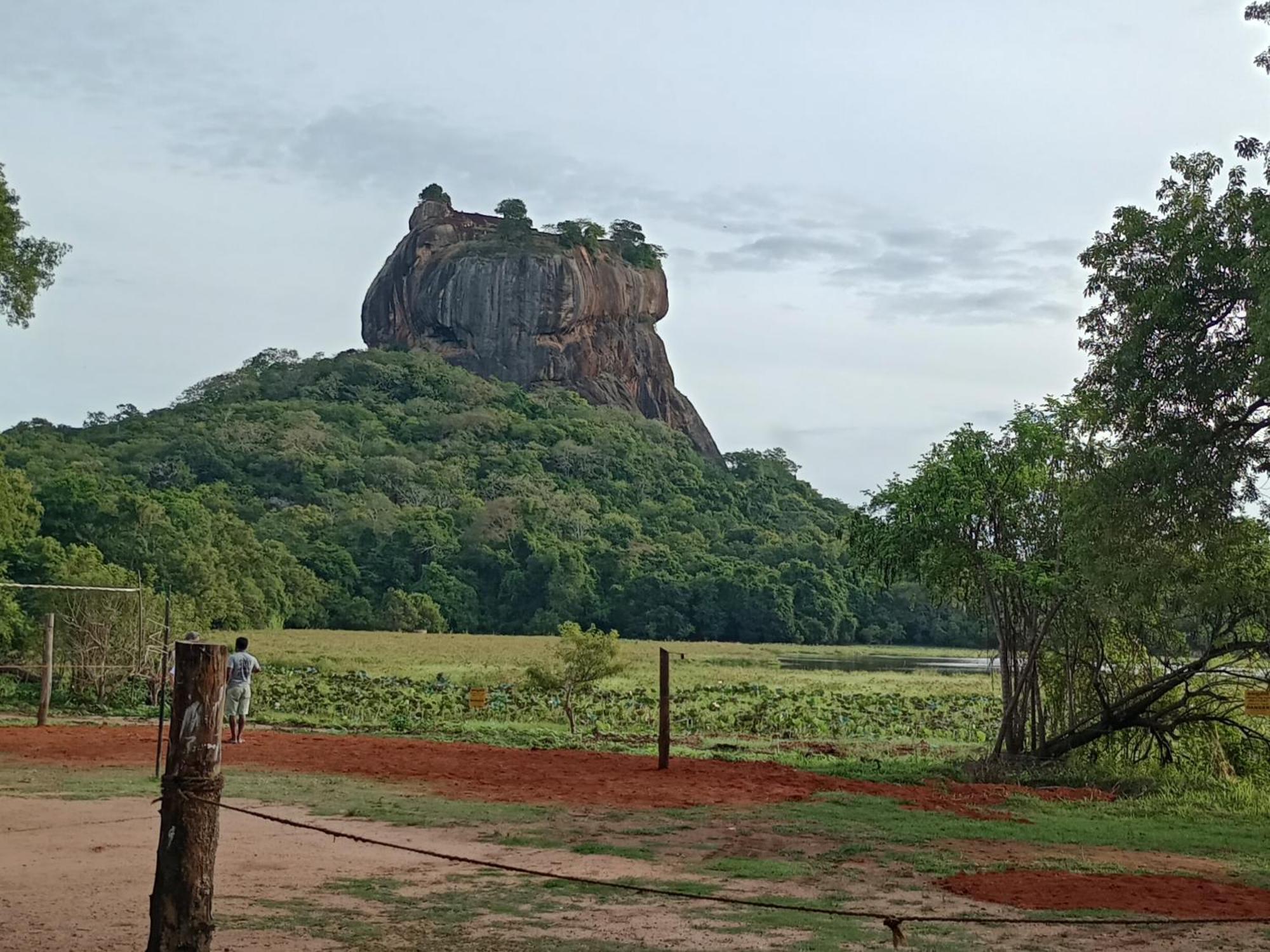 Jungle Eco Lodge & Safari Sigiriya Bagian luar foto