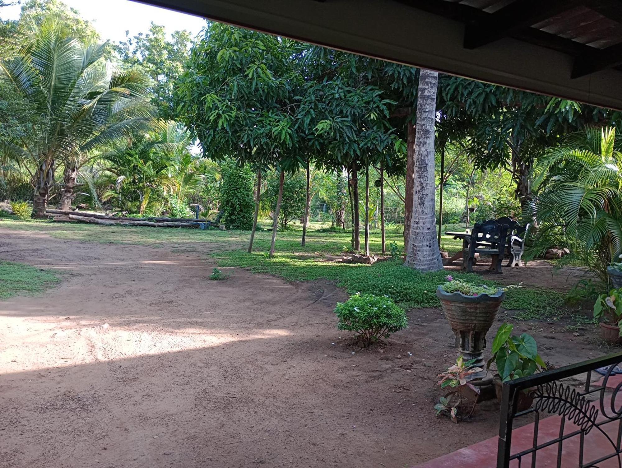 Jungle Eco Lodge & Safari Sigiriya Bagian luar foto